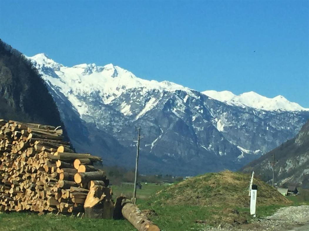Bohinj Barn Lägenhet Exteriör bild